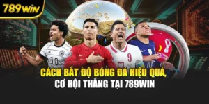 Cách Bắt Độ Bóng Đá Hiệu Quả, Cơ Hội Thắng Tại 789WIN