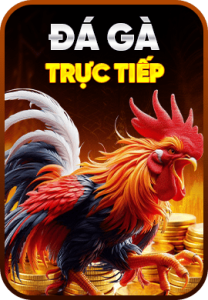 đá gà 789win